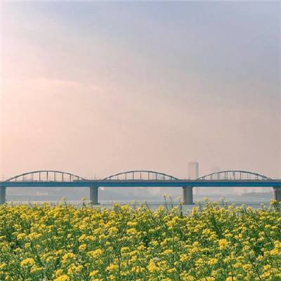 河北衡水湖：多国生态专家考察 献策生态保护发展