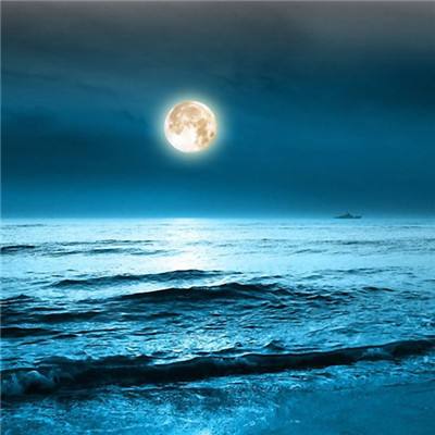 满月荧光海